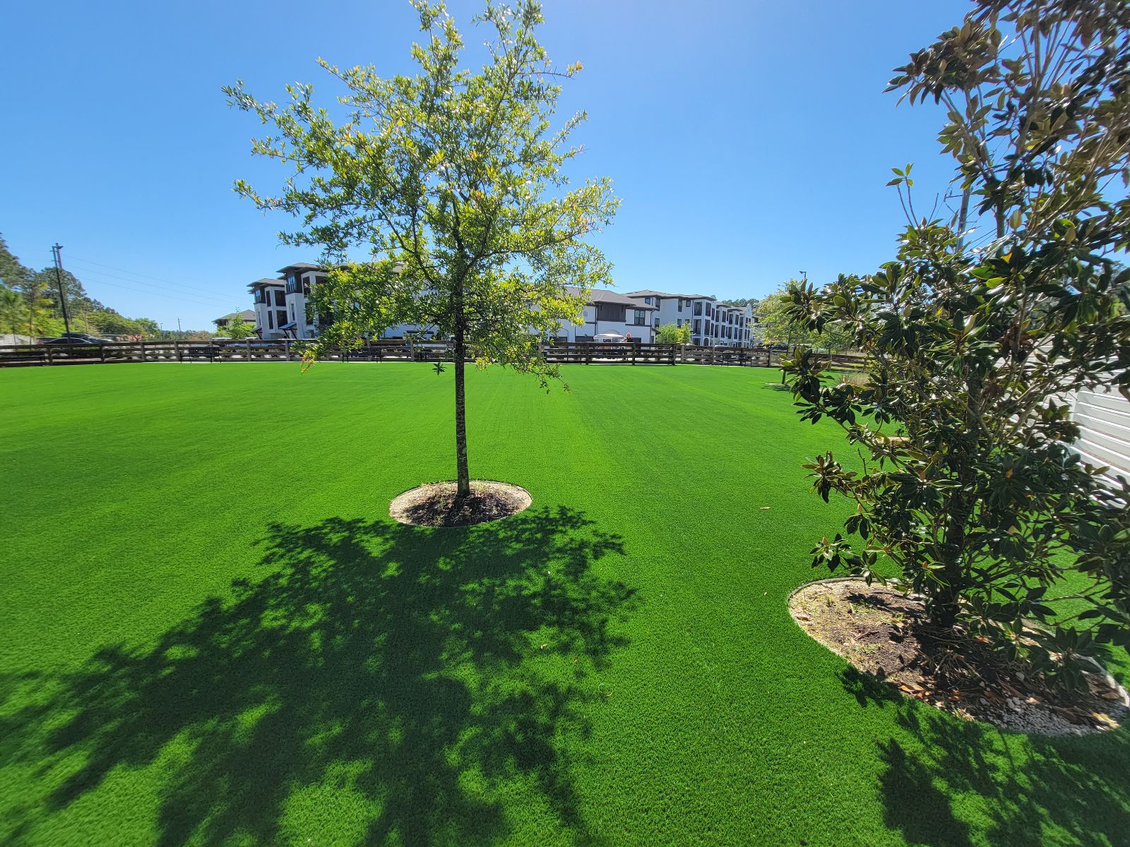 Custom Turf Design and Consultation