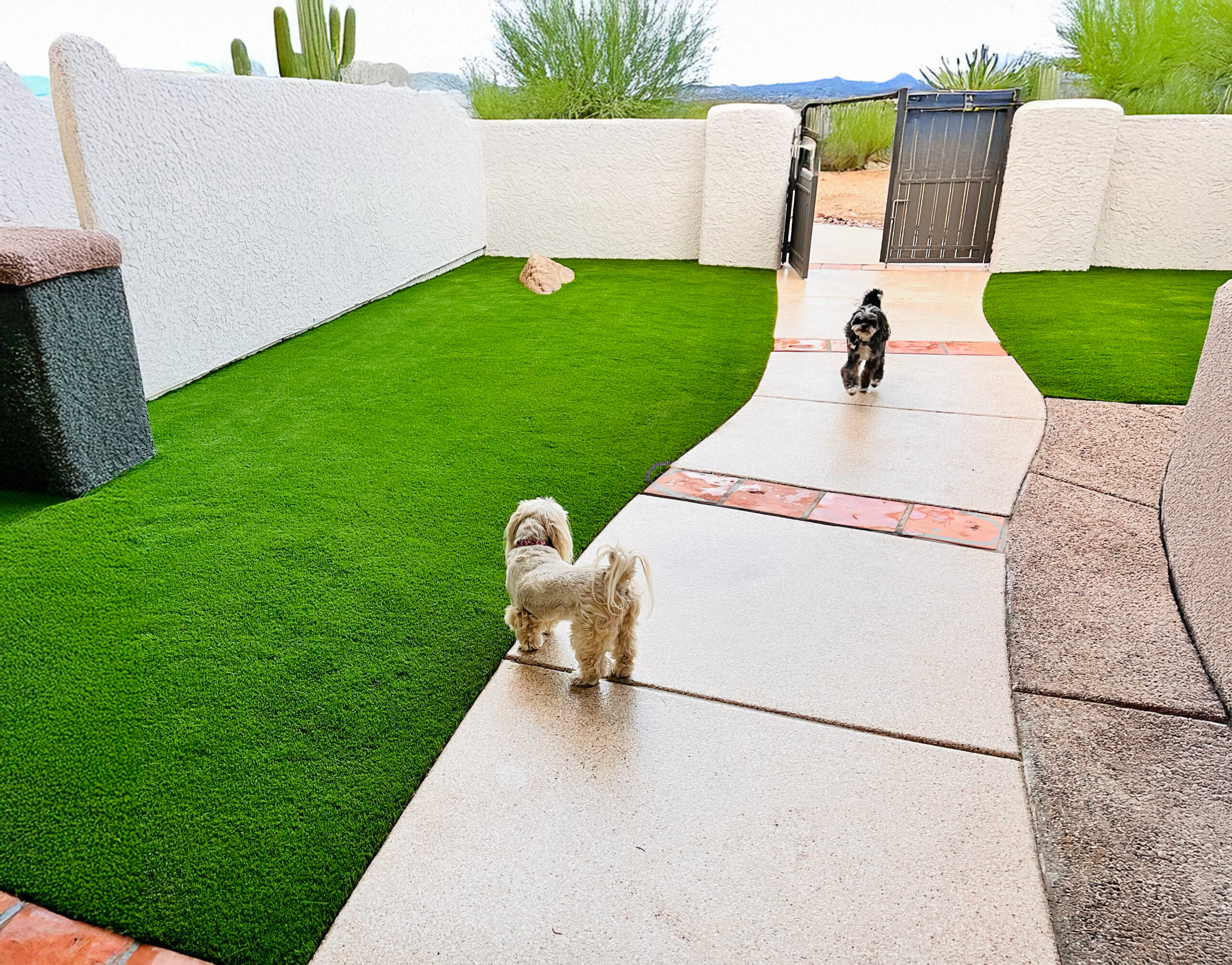 Pet-Friendly Turf Installation